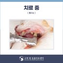 고척원동물의료센터 이미지