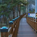 내린천자원 이미지