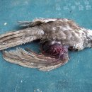 신흥정미소 이미지