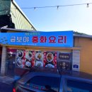 금보야 티스토리