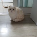 모아세탁마을 이미지