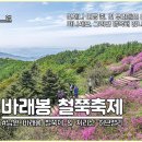 지리산허브벨리 | 남원 바래봉 철쭉제와 지리산 남원 허브밸리 여행