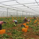 괴산군농업연구소 이미지