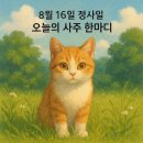 8월 16일 정사일 운세 이미지