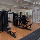 내몸공작소 네이버블로그