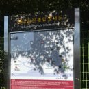 금강공원화장실 | 금강공원 케이블카 탑승 후기 단풍놀이 등산 주차 금정산국립공원