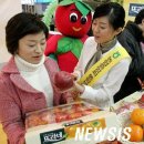우리집청과 뉴시스