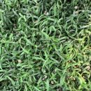 이천시 야구장 이미지