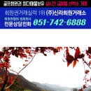세븐밸리CC스타트하우스