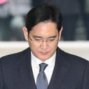 Yong 코리아헤럴드
