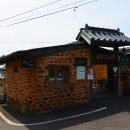 꿈꾸는 나무들