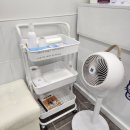 중동우리아이동물병원 | 부천고양이동물병원 중동우리아이동물병원 고양이 치석제거, 스케일링 비용 후기