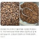 과천 정약국 | 안양 바리스타학원에서 브루잉 배우기 내돈내산