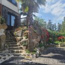 하논의 아침 이미지