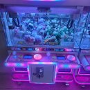 스미스 인형뽑기 이미지