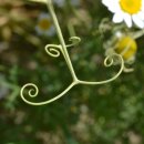 인성농장 이미지