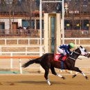원클린 일간스포츠