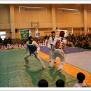 인하코리아태권도 이미지