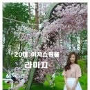 라미끄 이미지
