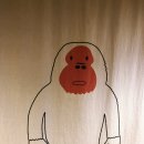 오랑우탄면사무소