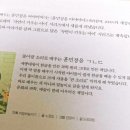 민화로 만나는 이름 이미지