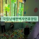 국립 남해편백자연휴양림 티스토리