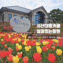 쉼이있는풍경 | 서산대형카페 Cafe,쉼이있는정원 튤립이 한가득 서산힐링스팟