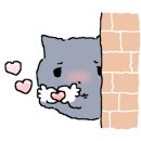 엠지메디칼 이미지