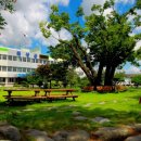 관광단지로 이미지