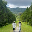 코끼리 동물약국 | [희희랄라] 드디어, 치앙마이 🇹🇭