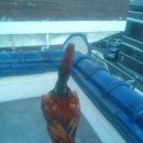 승현농장 이미지