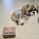 채널Q | [내돈내산] GX303 파인뷰 블랙박스 Q/F 2채널 설치 후기