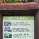 누비길7구간 | [경기도]성남 누비길(영장산 전망대 &amp;봉국사&amp; 망경암)🌿