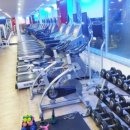 앨바트로 복싱 이미지