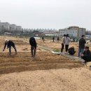 텃밭협동조합 이미지