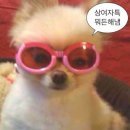 20241122 오늘의일기 (부제:뚱바손민수)