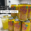 탄산음료:: 제주 한라봉 스파클링 과즙 탄산음료 편의점 음료 솔직후기!