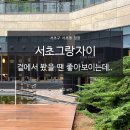 서수원 자이아파트104동 앞 | 서초그랑자이 서초동 대장 중 대장? 직접 가본 후기