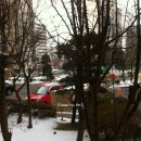 킴스펫 하우스 이미지