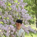 다니엘복지원 4월 활동사진 - 헌인릉 산책 및 해설 이미지