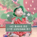 대전 롯데마트 대덕점 문화센터 신기한오감점프베베 후기｜아기 오감놀이 문센 수업 정보