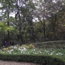 서울대학교 농업생명과학대학 이미지