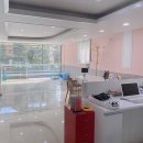 황언니 펫살롱 이미지