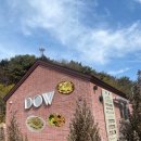 도우(DOW) 이미지