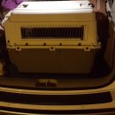 럭키켄넬 이미지