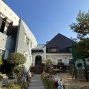 석화꽃무지풀무지유치원 이미지