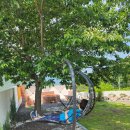 하이디민박 이미지