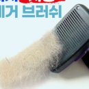 몽스샵 네이버블로그