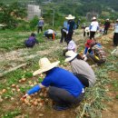 남상면사무소 이미지
