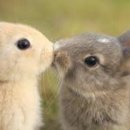 Adieu 2022 이미지